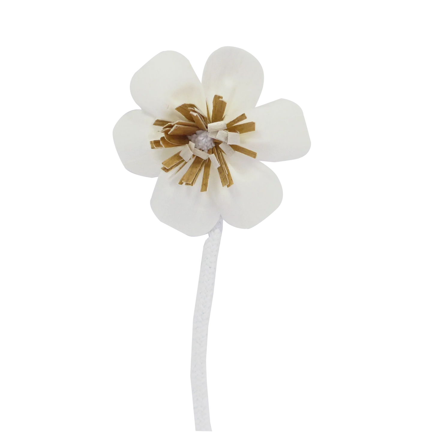 Fleur Anémone - Diffuseur mèche-0