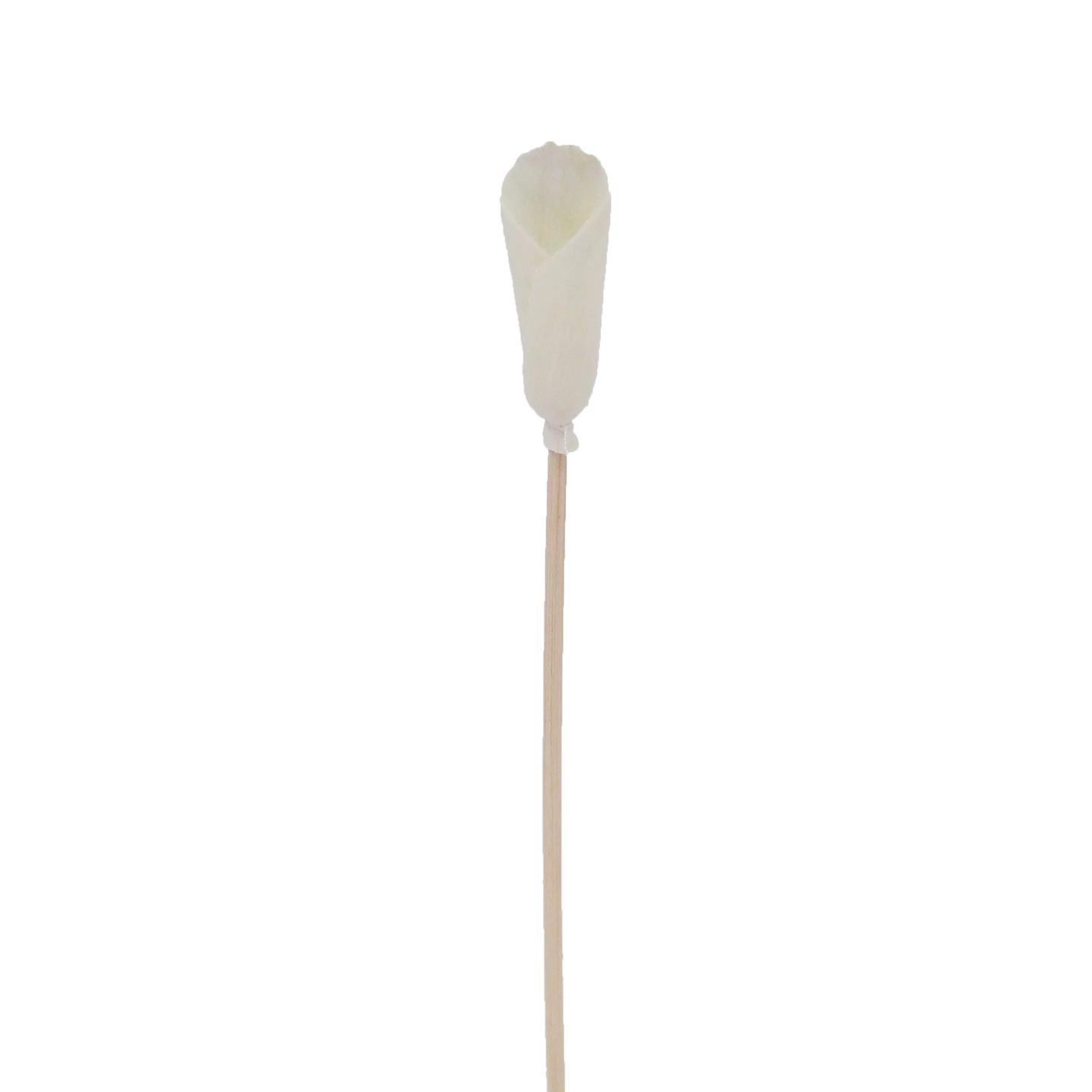 Fleur d'Alocasia - Bâtonnet diffuseur en rotin fleur-0