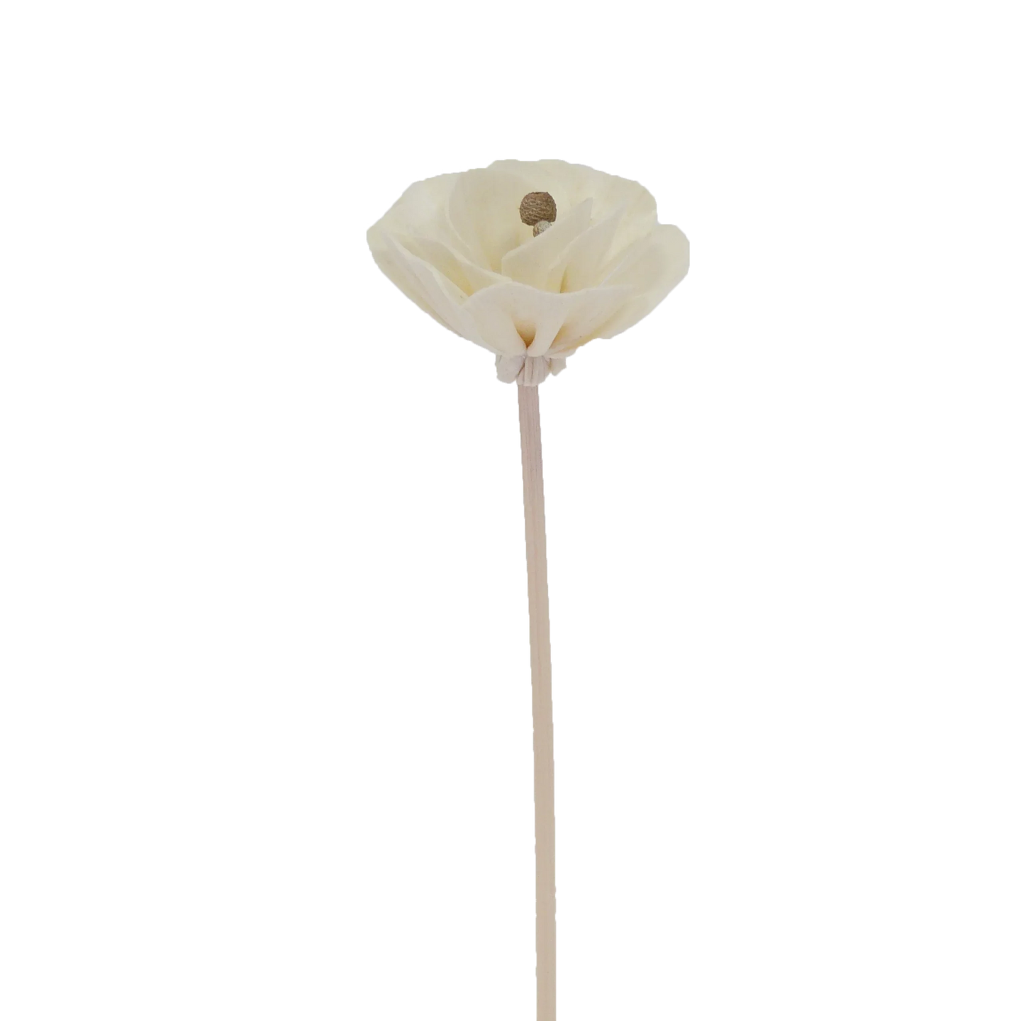 Fleur Pivoine de chine - Bâtonnet diffuseur en rotin-0