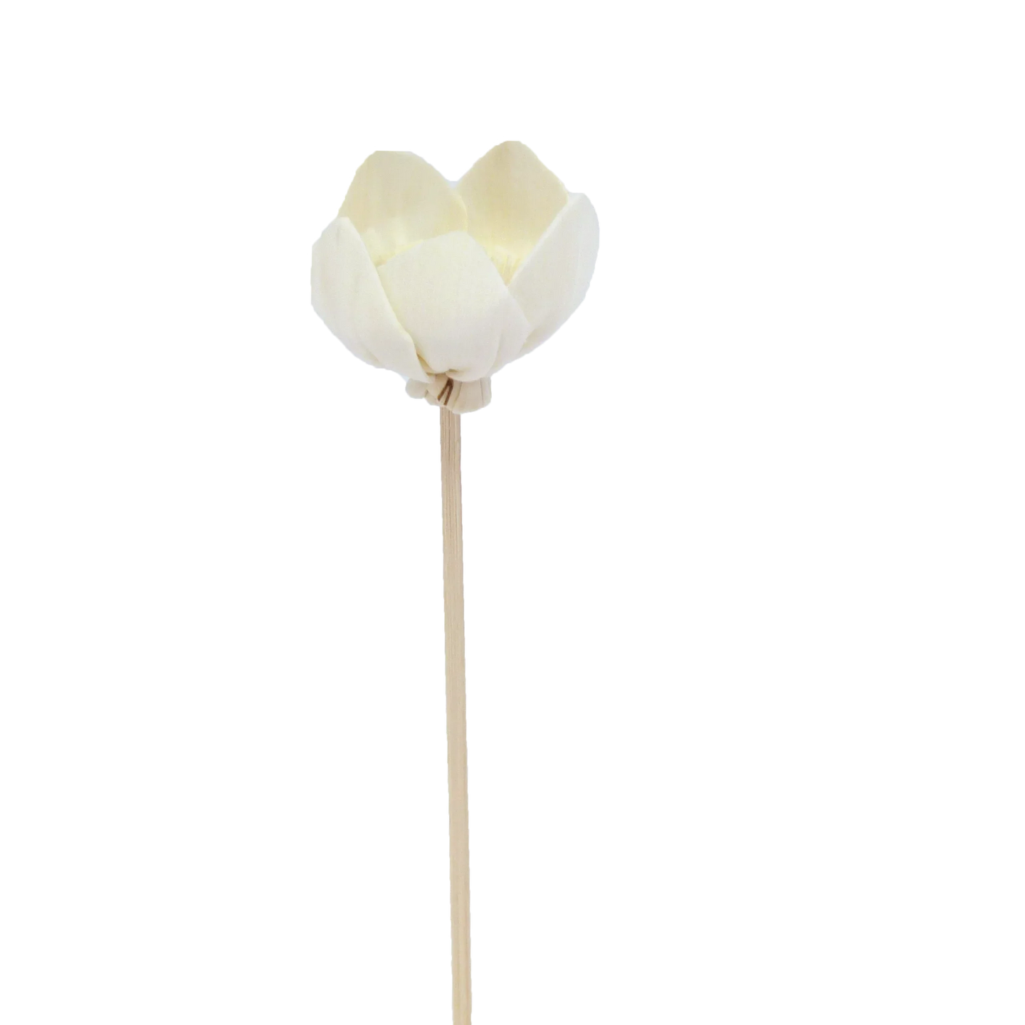 Fleur de Narcisse - Bâtonnet diffuseur en rotin-0