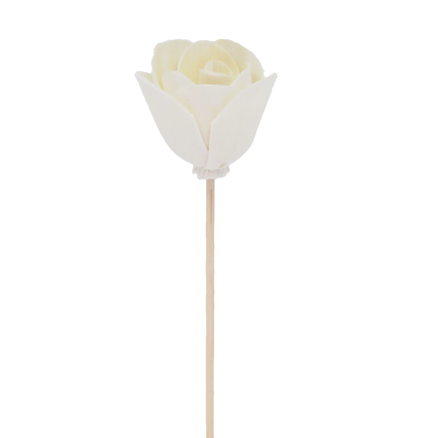 Tulipe à fleur de pivoine - bâtonnet diffuseur en rotin fleur-0